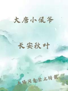 大唐小侯爷
